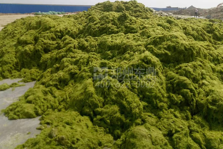 牧草烘干機如何科學(xué)選型？牧草烘干過程中營養(yǎng)成分會流失嗎