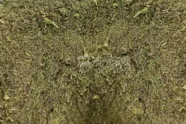 牧草烘干機如何科學(xué)選型？牧草烘干過程中營養(yǎng)成分會流失嗎